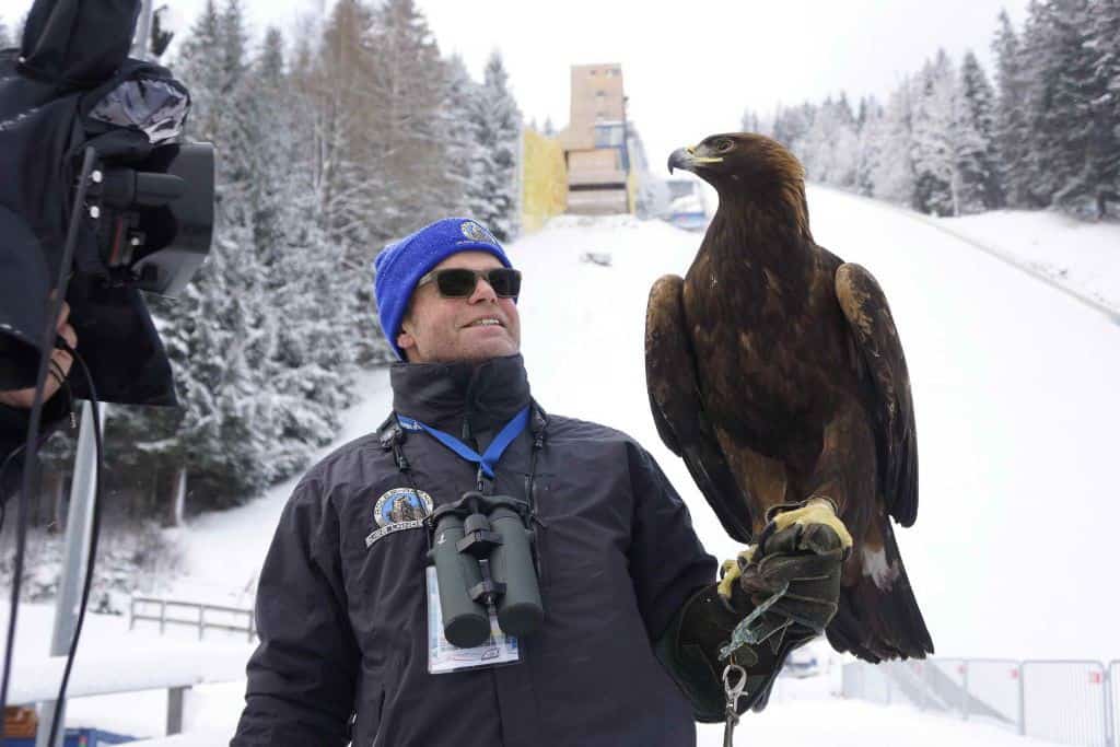Falkner mit Adler von Greifvogelwarte Landskron am Kulm