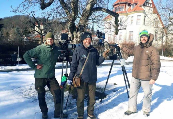 TV Dokumentation mit Sperber von Adlerwarte Landskron Kärnten